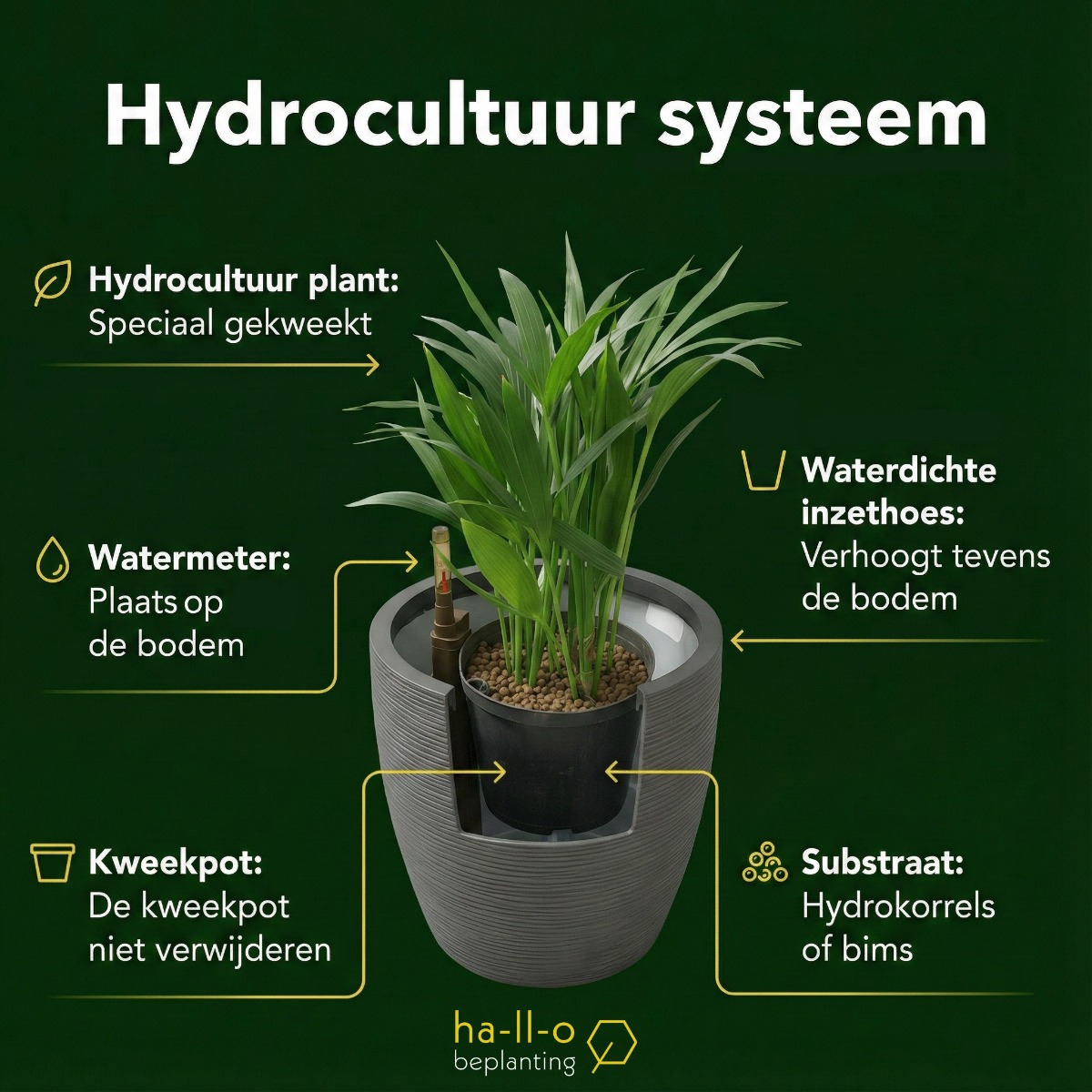 hydrocultuur plant systeem hydrocultuur plant systeem