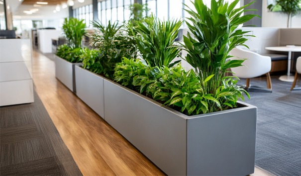 grote plantenbak met hydrocultuur mix