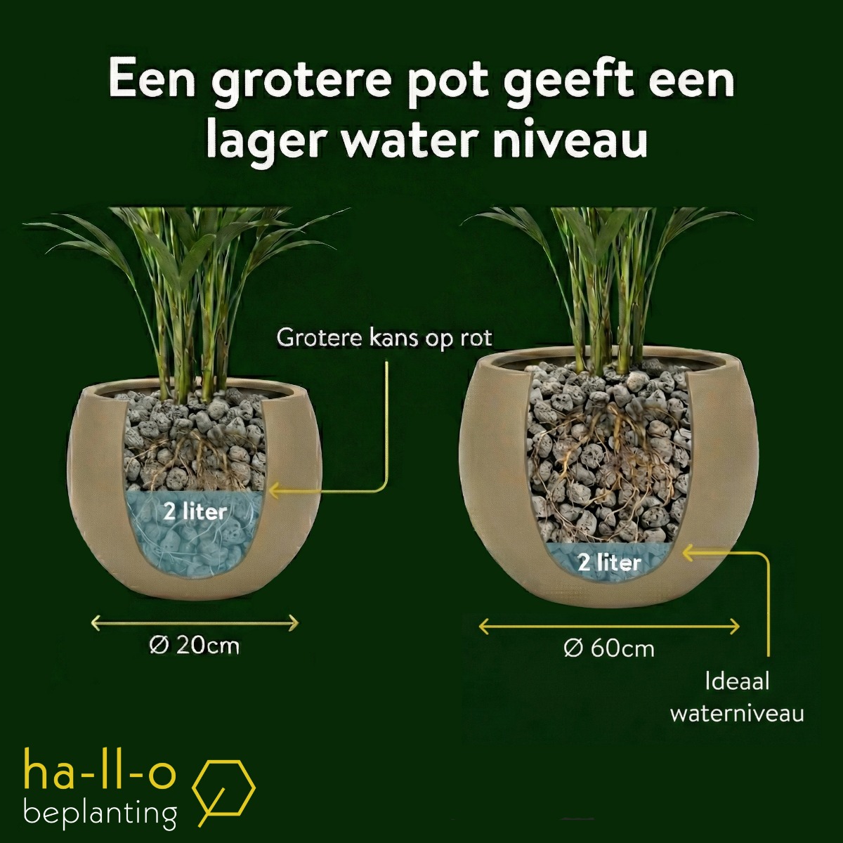 hydrocultuur plant water geven: potverhouding hydrocultuur plant water geven: potverhouding
