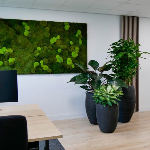 planten leasen planten leasen