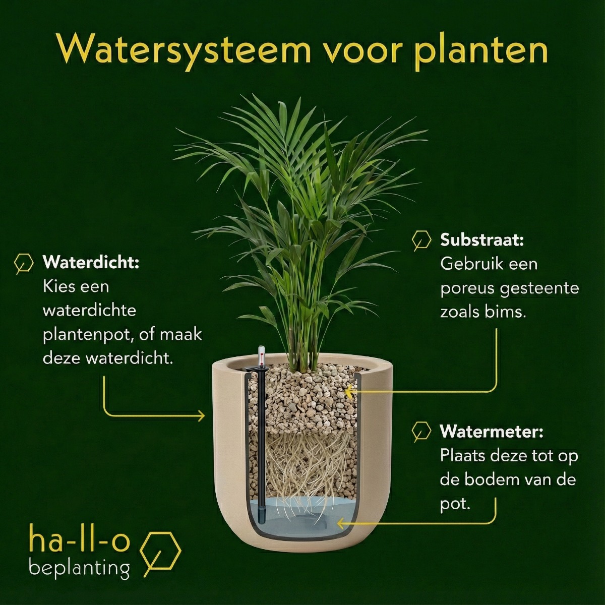 water systeem voor kantoorplanten