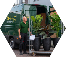 <p>Eigen bezorging met echte <strong>plantenexpertise</strong></p> <p>Eigen bezorging met echte <strong>plantenexpertise</strong></p>