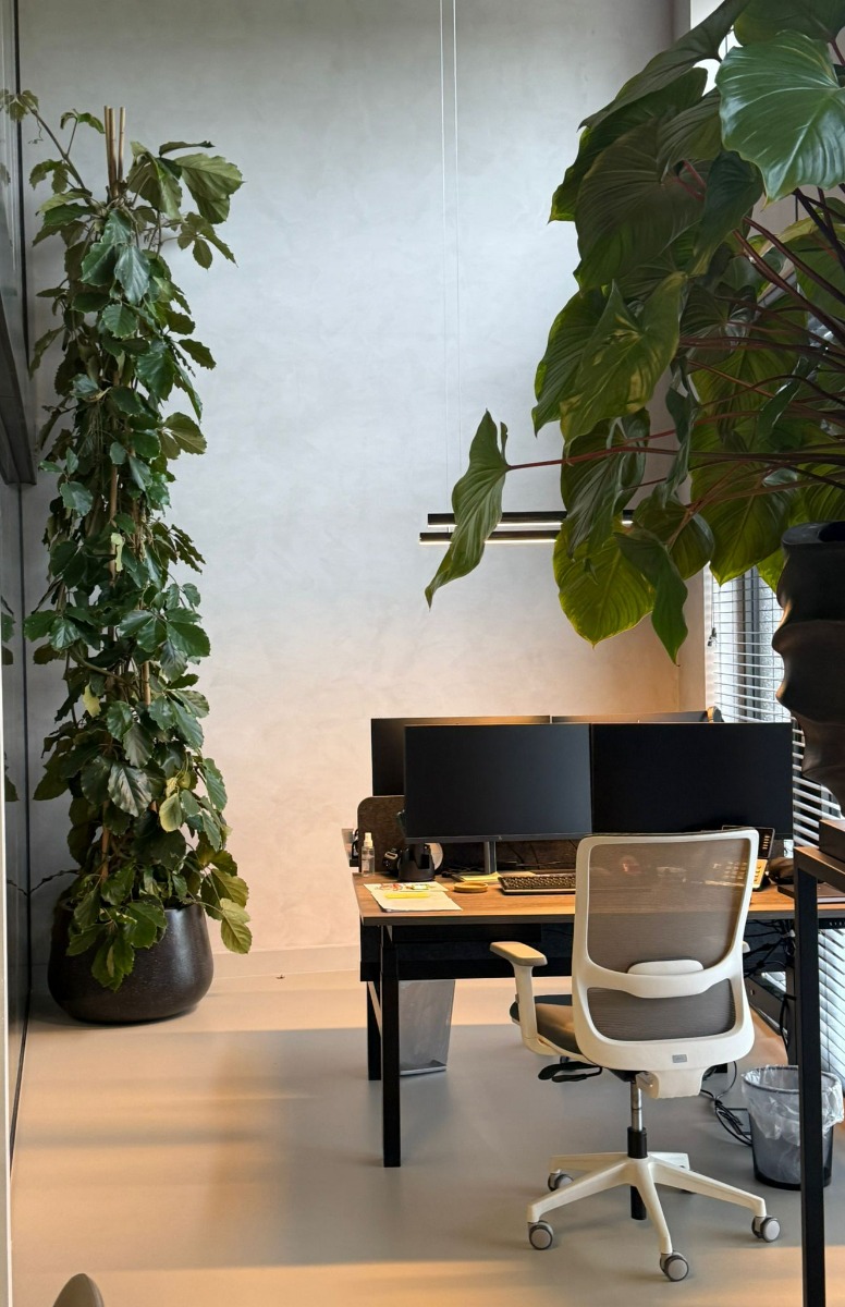 hoge tetrastigma interieurbeplanting - Beschermingsbewind A. Dulder 